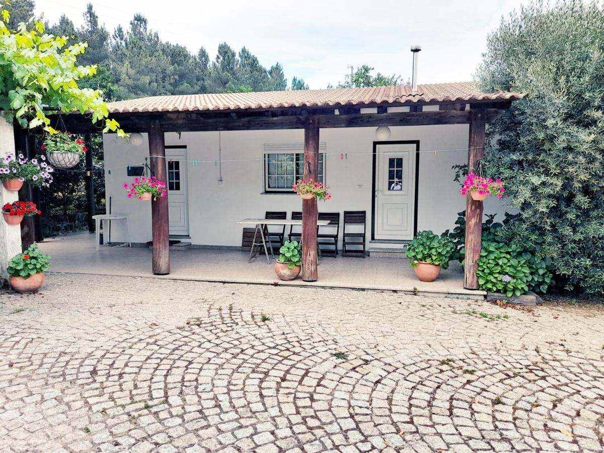 Casa Das Aveleiras - Satao Vila de Igreja ภายนอก รูปภาพ